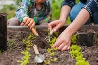 An adult and a child planting seedlings in a garden bed